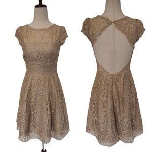 Elegant Lace Beige Dress
